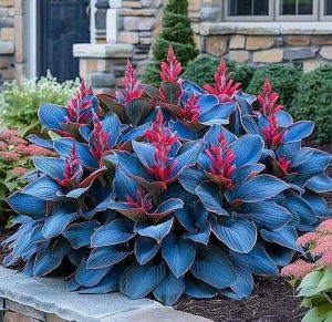 Хоста Грин Фог купить по цене от 669р. в интернет-магазине «Посадика» с доставкой почтой в в Сосновкае и по всей России – [изображение №1].