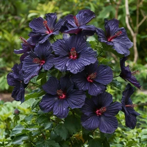 Гибискус Мэджик Момент купить по цене от 699р. в интернет-магазине «Посадика» с доставкой почтой в в Сосновкае и по всей России – [изображение №1].